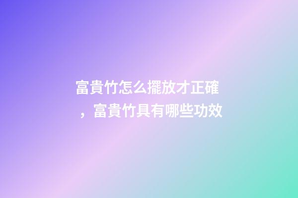 富貴竹怎么擺放才正確，富貴竹具有哪些功效